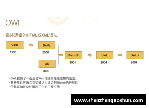 球员全场表现：细致解析与深入分析