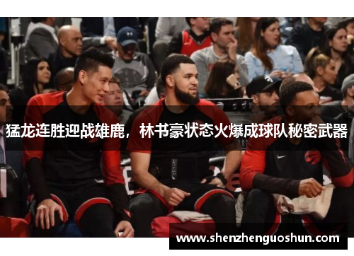 猛龙连胜迎战雄鹿，林书豪状态火爆成球队秘密武器