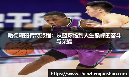 必博bibo体育